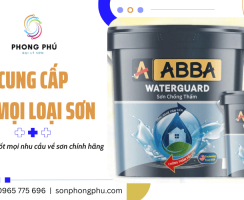 Thế giới sơn - Đủ loại sơn cho mọi nhu cầu